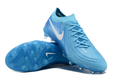 Nike Skor